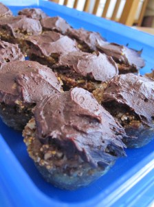 Chocolate Frosted Cup Cakes