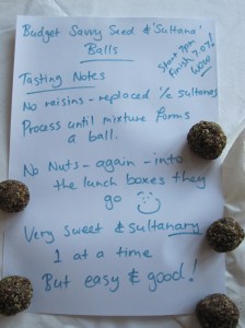 Budget Savvy Seed and Sultana Balls