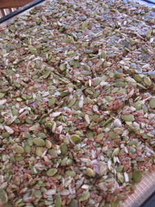 Scored and ready for the dehydrator