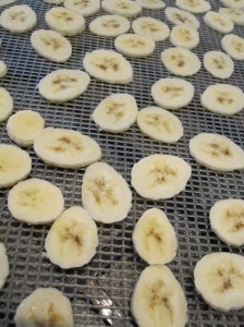 Dehydrated Bananas (2)