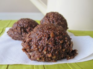 Protein Balls