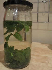 Sake Mint Infusion