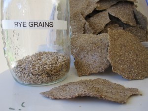 Sunny Rye Crackers