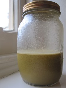 Vegetable Stock