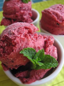 Berry Sorbet