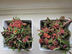 Kale with Apple and Ginger Dressing