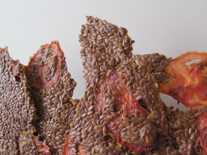 Sicilian Flax Crackers