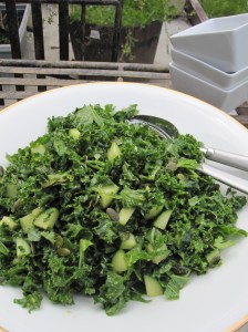 Kale and Red Wine Salad
