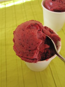 Tutti Frutti Ice-Cream